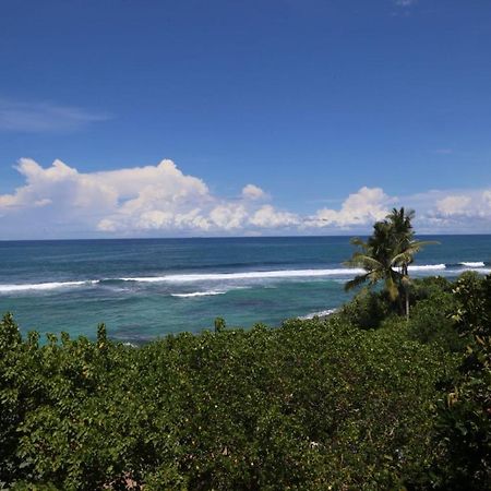 Paradise Beach Resort & Diving School Mirissa Zewnętrze zdjęcie